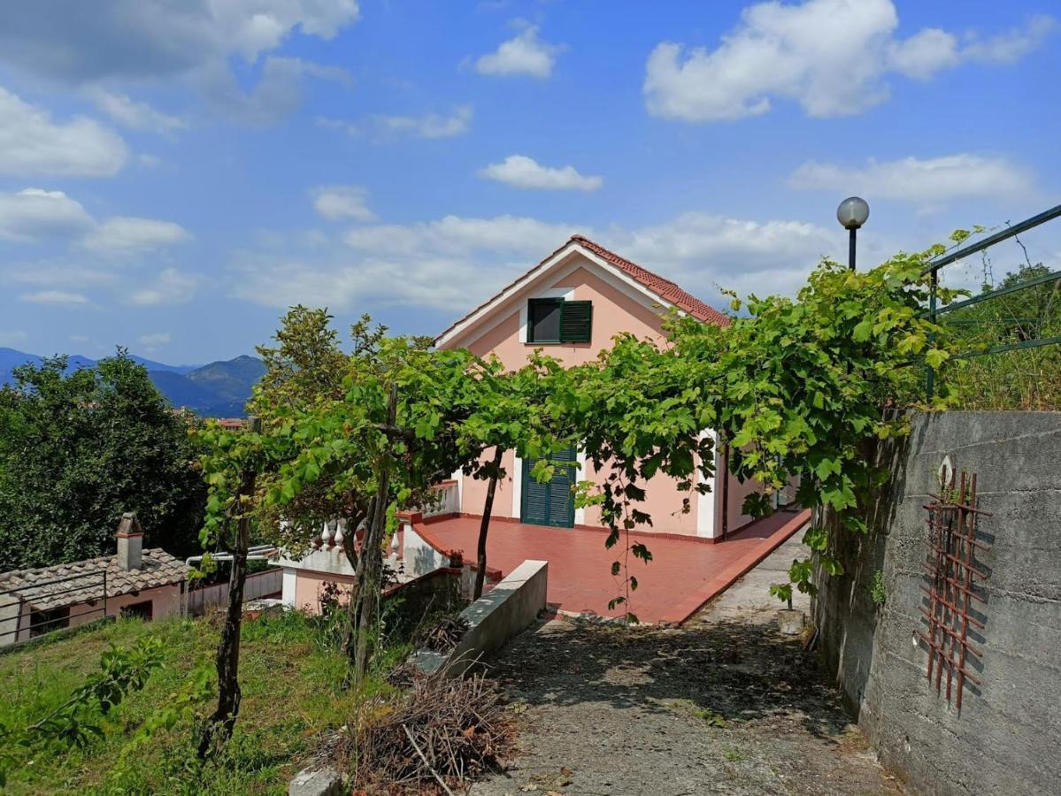 Vicinus - 120 Mq - Parking - Garden Villa *