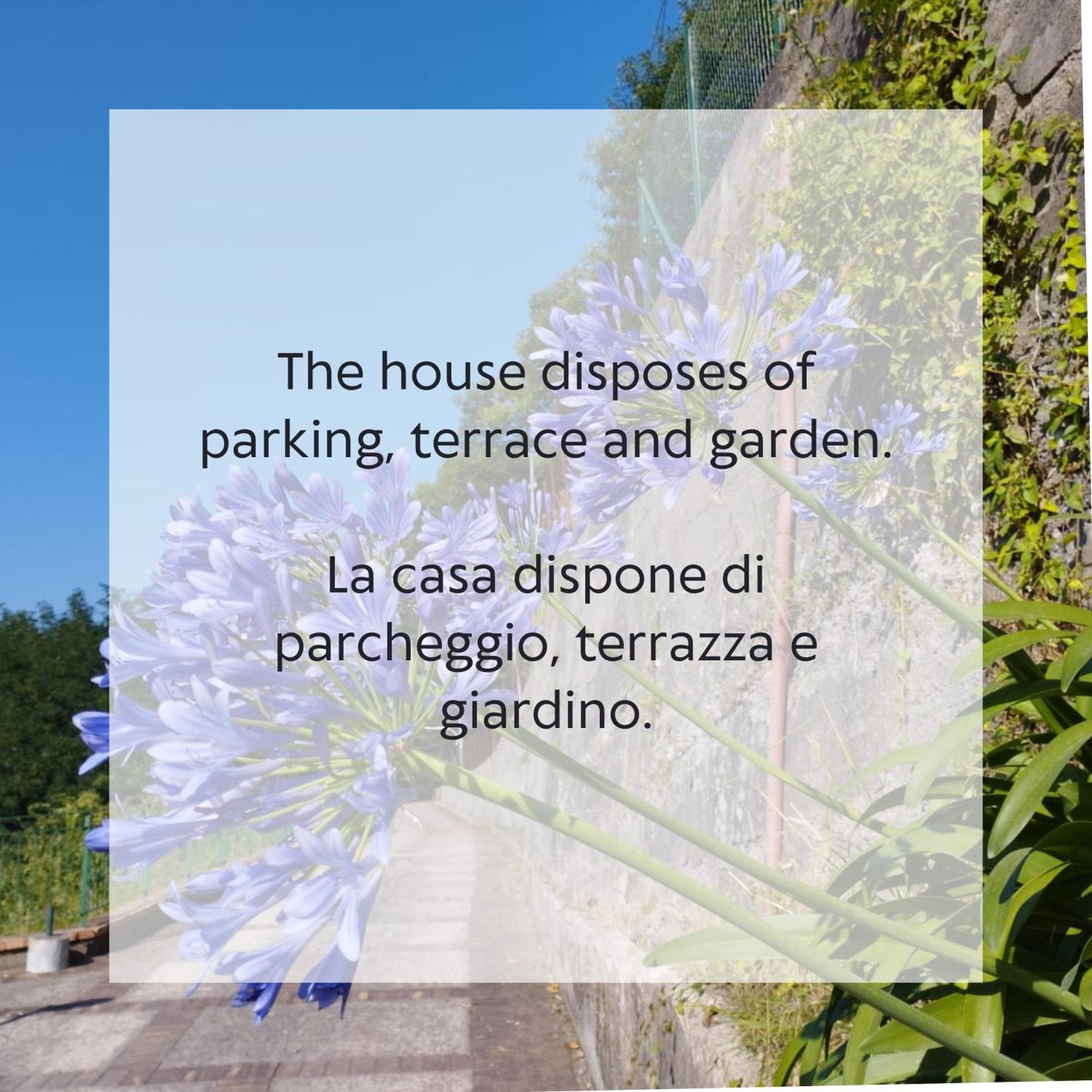 Vicinus - 120 Mq - Parking - Garden Villa *